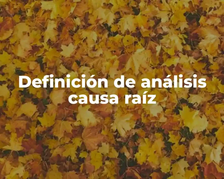 Definición de análisis causa raíz