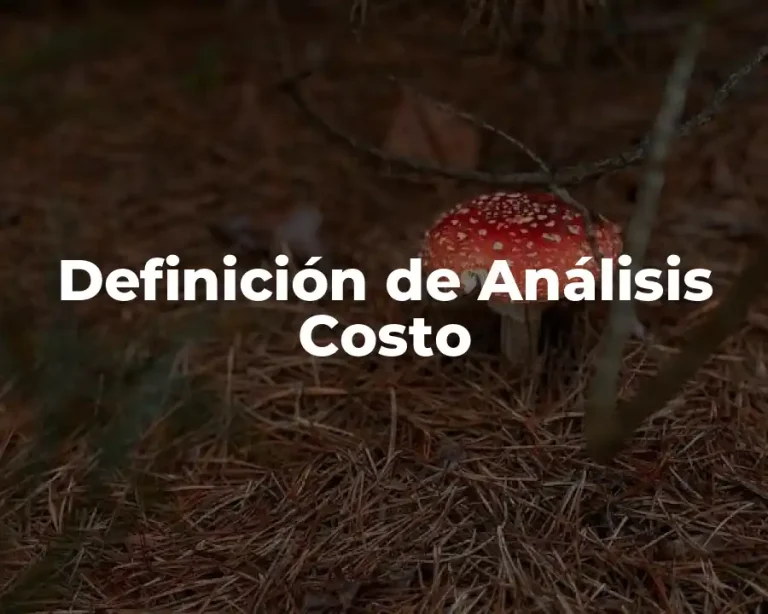 Definición de Análisis Costo