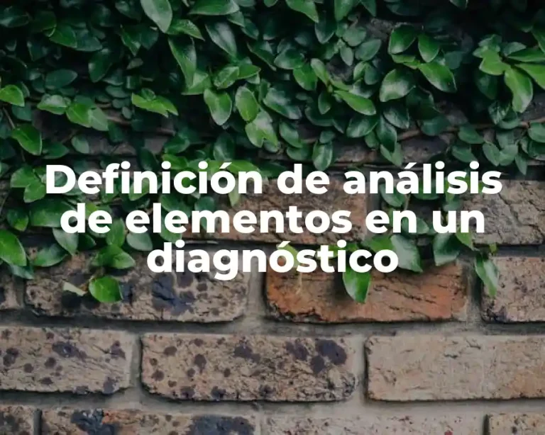 Definición de análisis de elementos en un diagnóstico