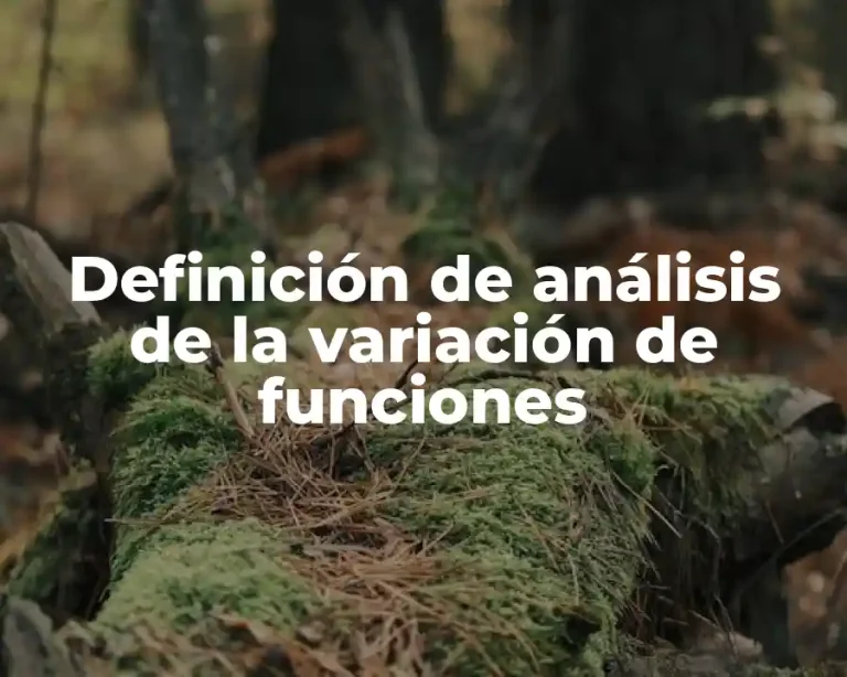Definición de análisis de la variación de funciones