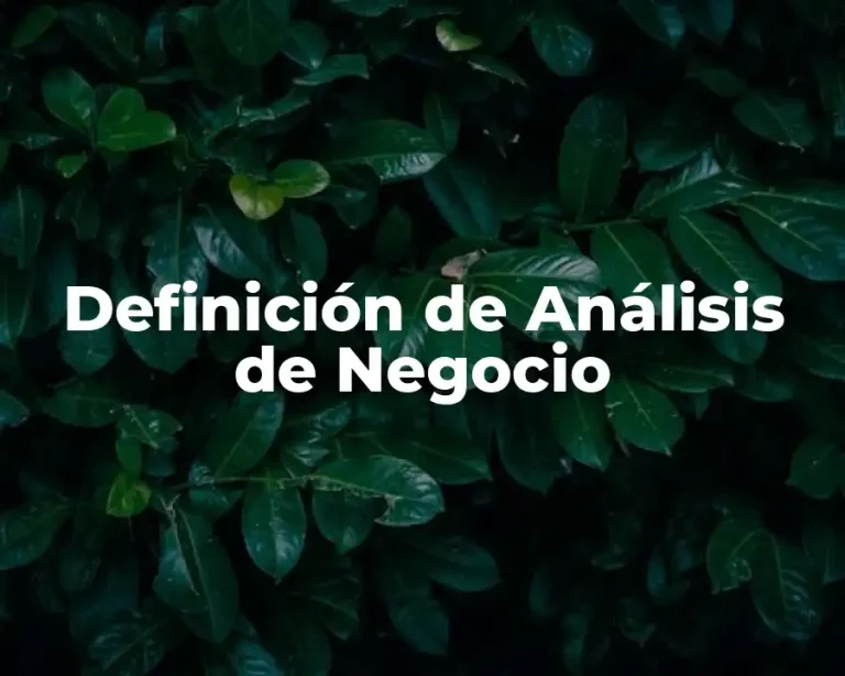 Definición de Análisis de Negocio