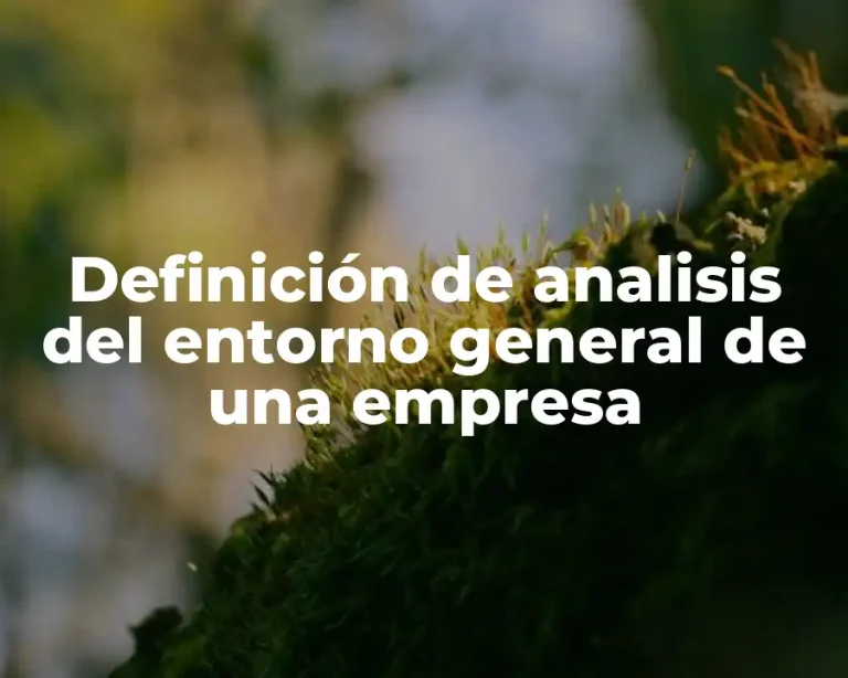 Definición de analisis del entorno general de una empresa