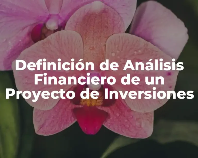 Definición de Análisis Financiero de un Proyecto de Inversiones