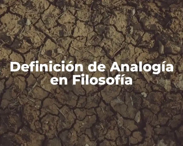 Definición de Analogía en Filosofía