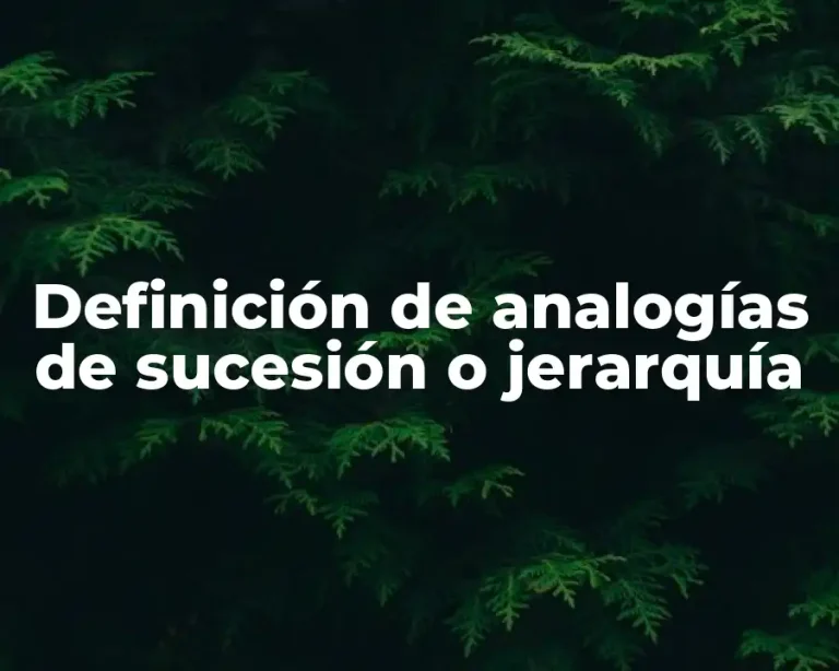 Definición de analogías de sucesión o jerarquía