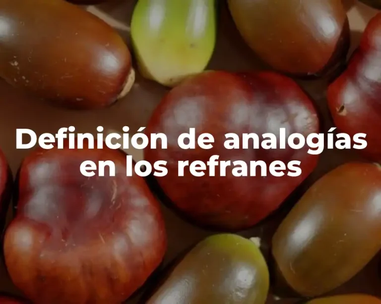 Definición de analogías en los refranes