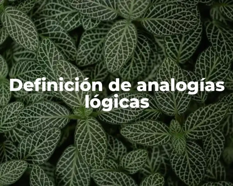 Definición de analogías lógicas
