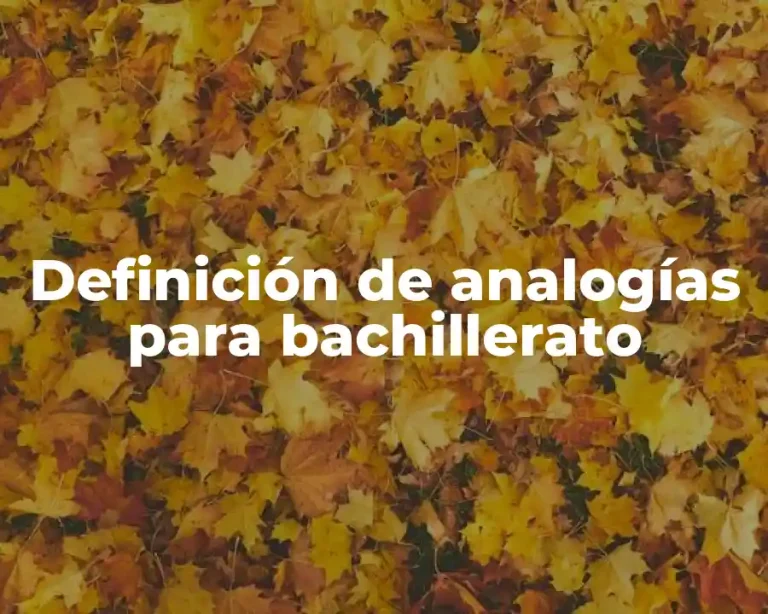 Definición de analogías para bachillerato