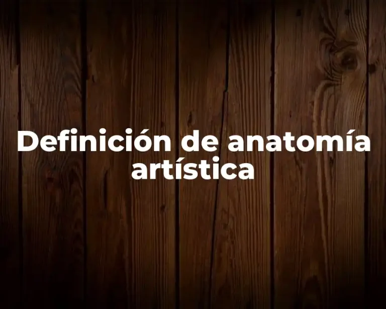 Definición de anatomía artística