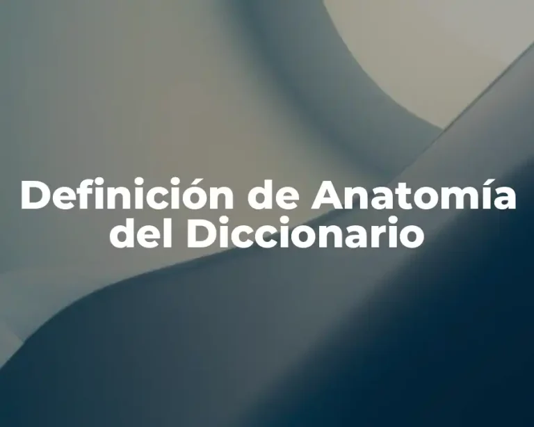 Definición de Anatomía del Diccionario