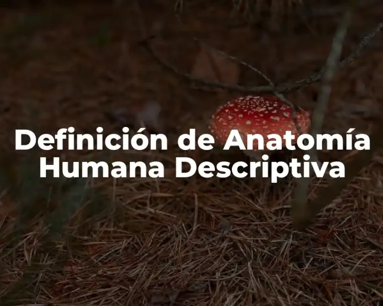 Definición de Anatomía Humana Descriptiva