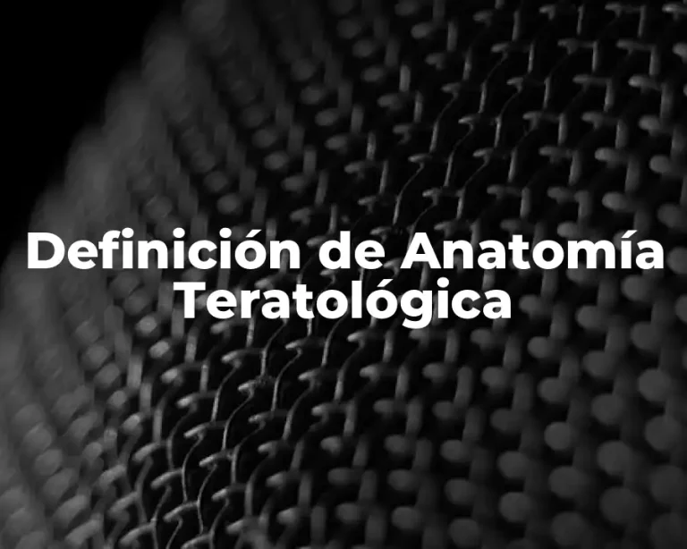 Definición de Anatomía Teratológica