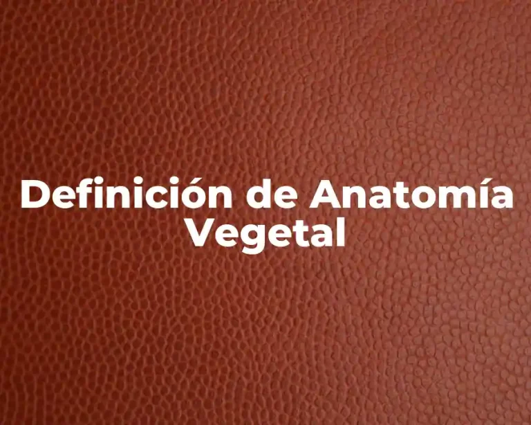 Definición de Anatomía Vegetal