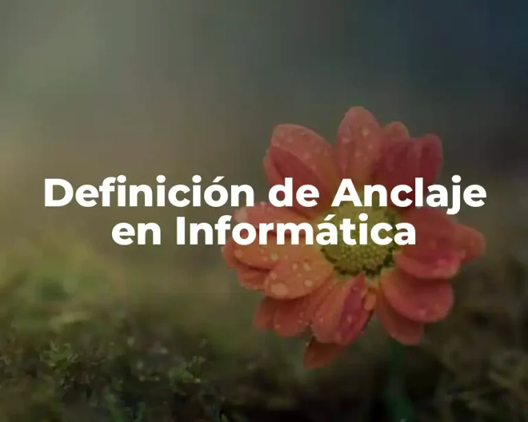 Definición de Anclaje en Informática