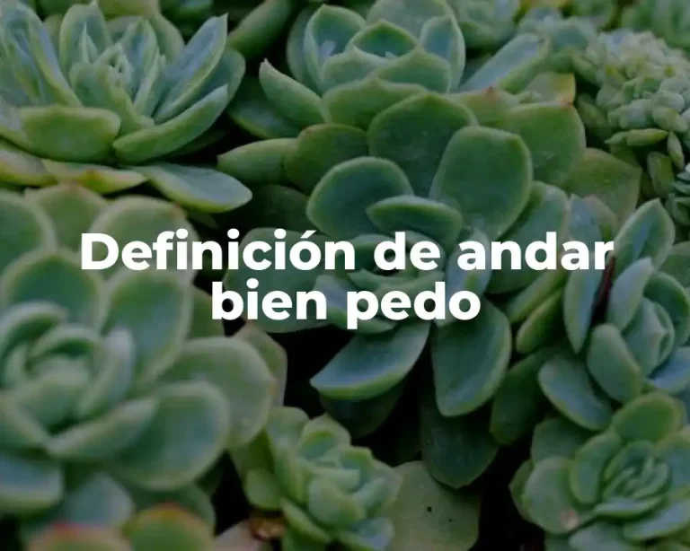 Definición de andar bien pedo