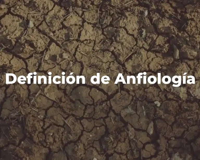 Definición de Anfiología