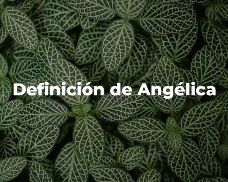Definición de Angélica