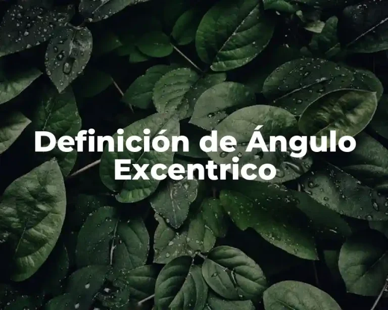 Definición de Ángulo Excentrico