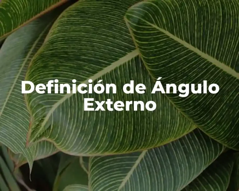 Definición de Ángulo Externo