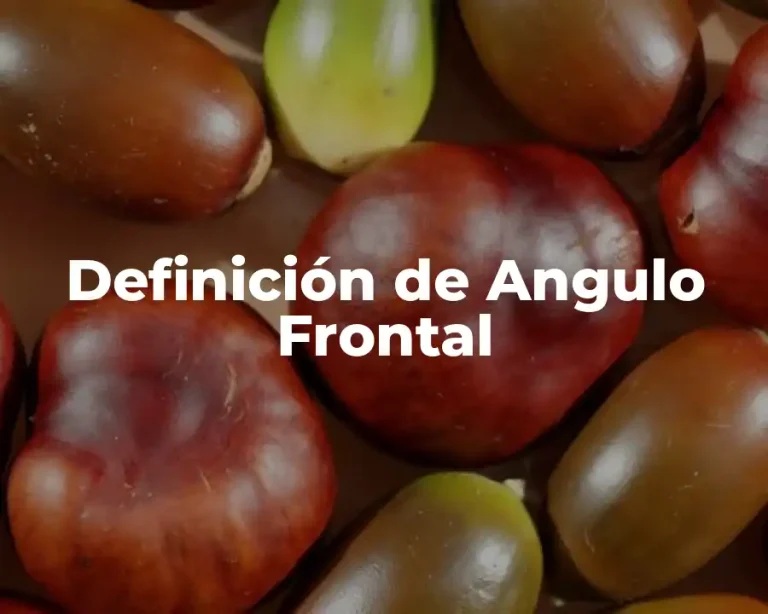 Definición de Angulo Frontal