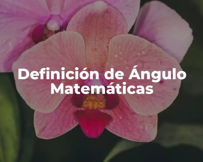 Definición de Ángulo Matemáticas
