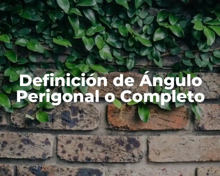 Definición de Ángulo Perigonal o Completo
