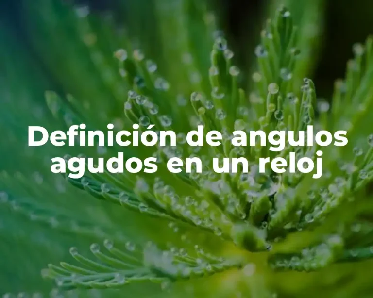 Definición de angulos agudos en un reloj