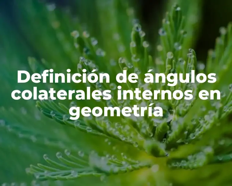 Definición de ángulos colaterales internos en geometría