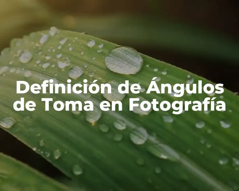 Definición de Ángulos de Toma en Fotografía