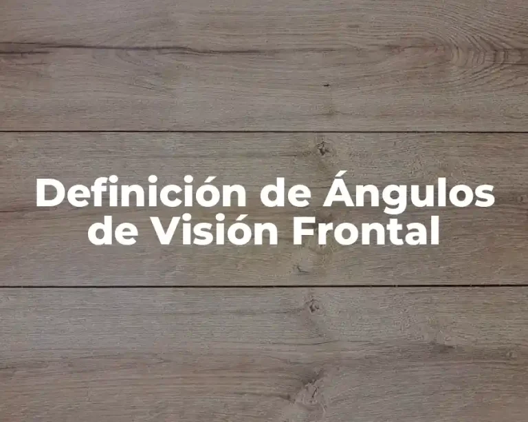 Definición de Ángulos de Visión Frontal
