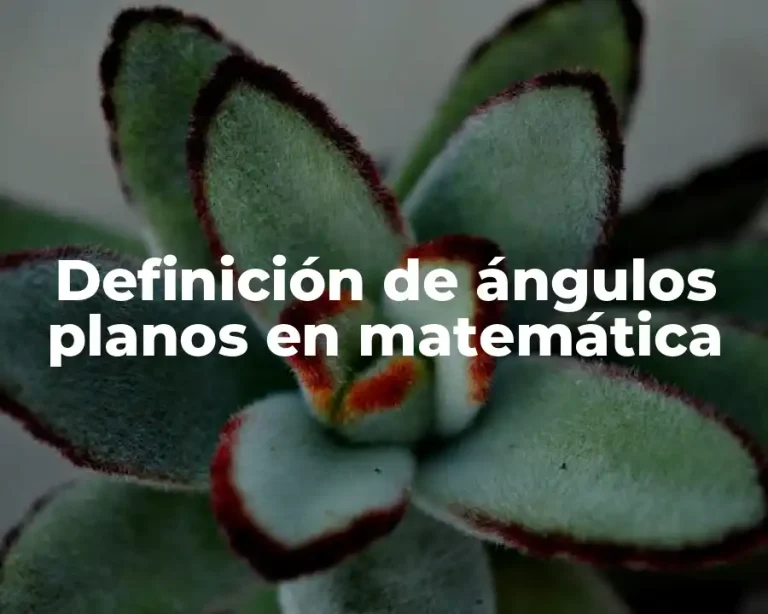 Definición de ángulos planos en matemática