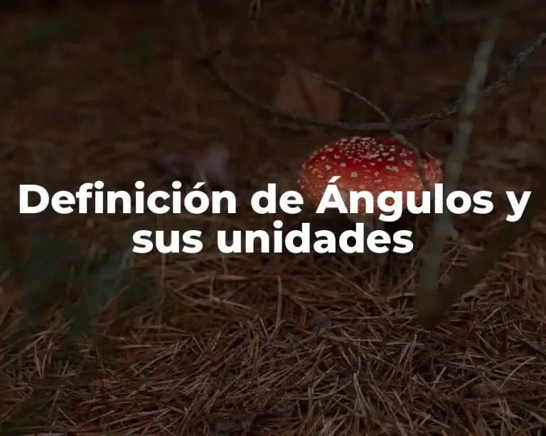 Definición de Ángulos y sus unidades