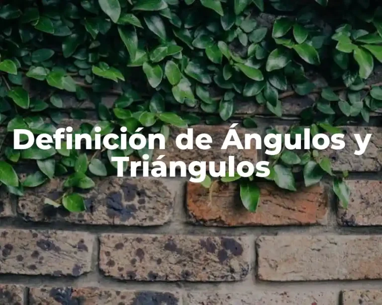 Definición de Ángulos y Triángulos