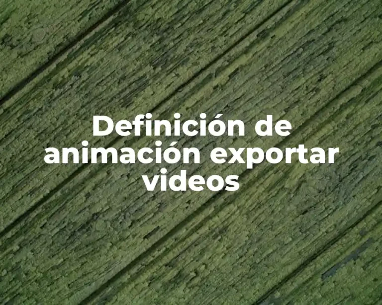 Definición de animación exportar videos
