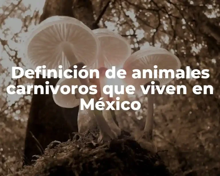 Definición de animales carnivoros que viven en México