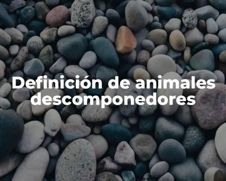 Definición de animales descomponedores