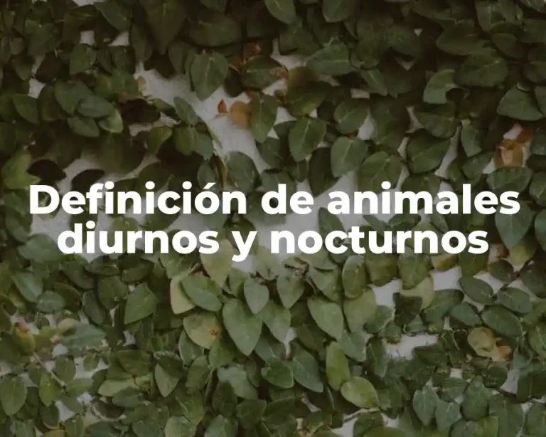 Definición de animales diurnos y nocturnos