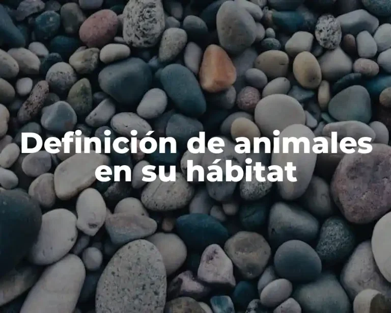 Definición de animales en su hábitat