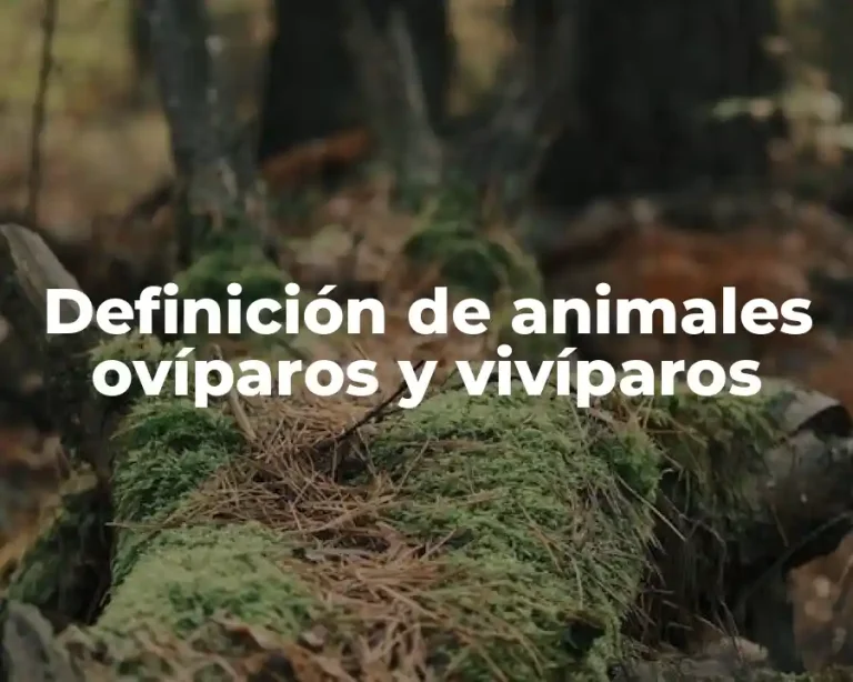 Definición de animales ovíparos y vivíparos