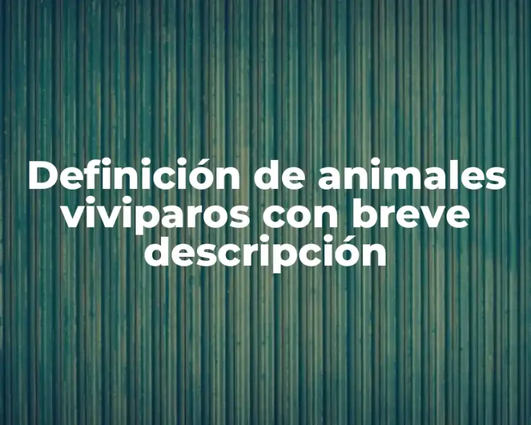 Definición de animales viviparos con breve descripción