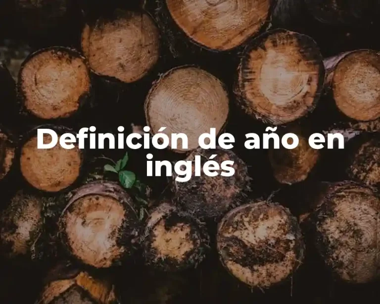 Definición de año en inglés