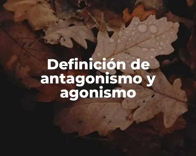 Definición de antagonismo y agonismo