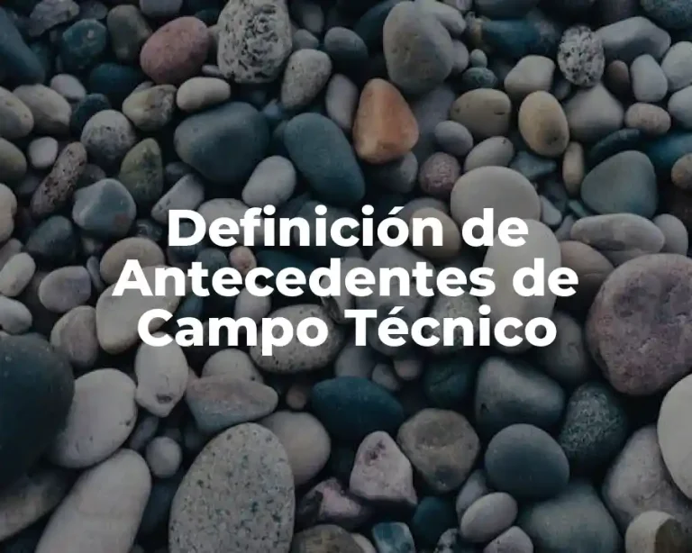 Definición de Antecedentes de Campo Técnico