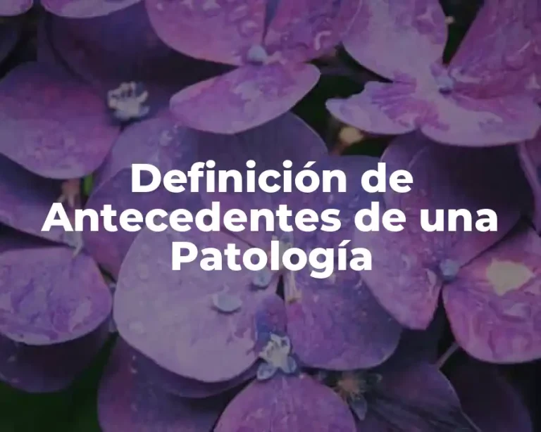 Definición de Antecedentes de una Patología
