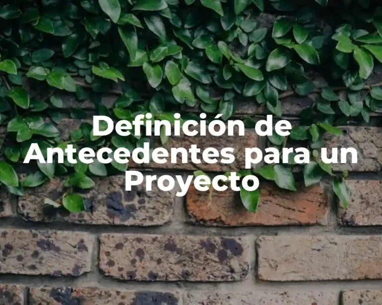 Definición de Antecedentes para un Proyecto
