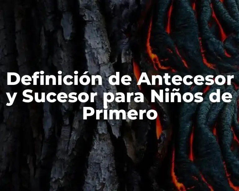 Definición de Antecesor y Sucesor para Niños de Primero