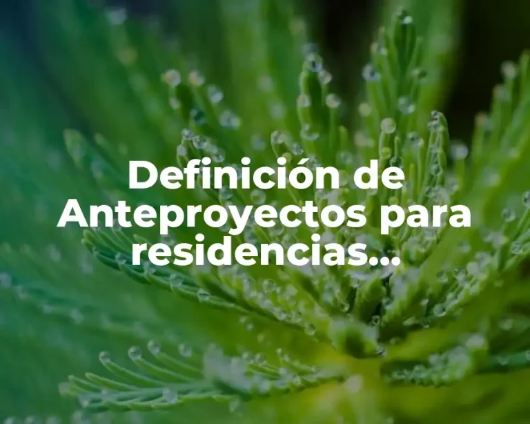 Definición de Anteproyectos para residencias profesionales