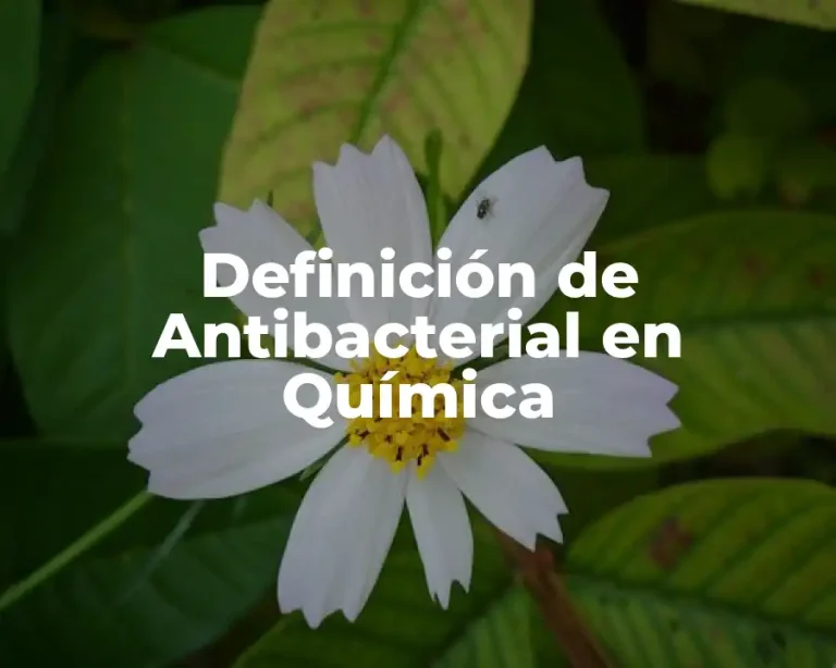 Definición de Antibacterial en Química