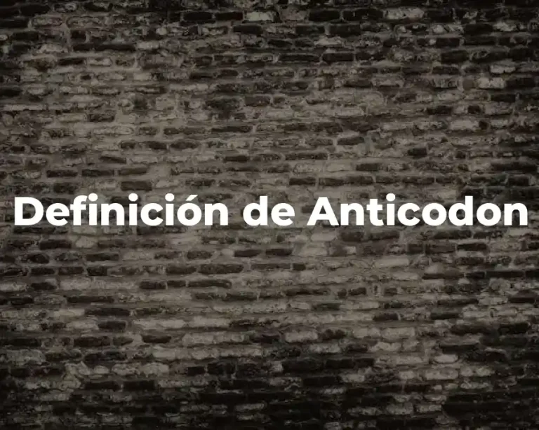 Definición de Anticodon