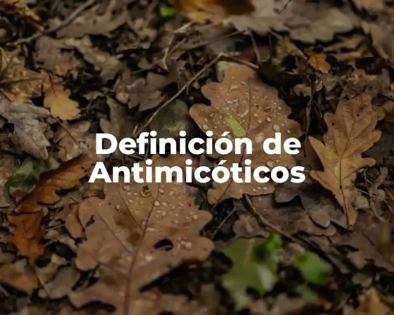 Definición de Antimicóticos